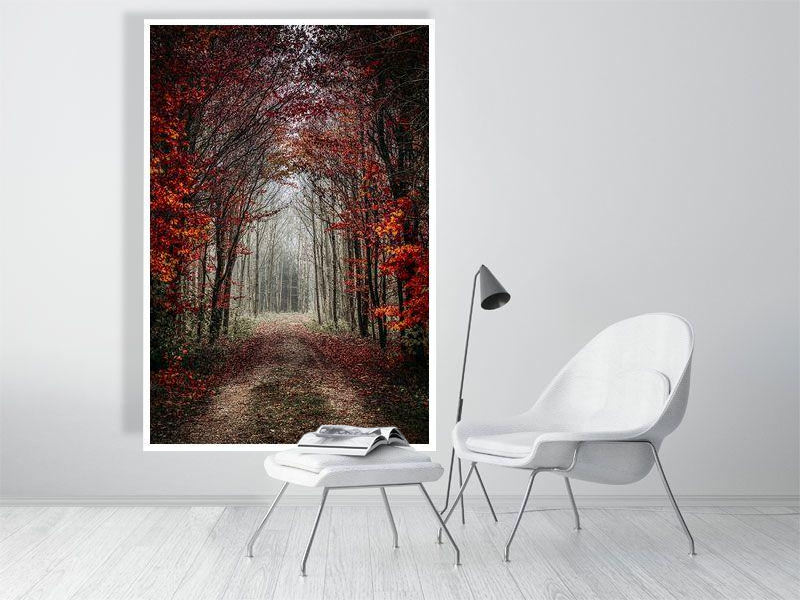 Woodland Secrets I