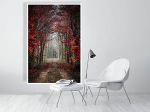 Woodland Secrets I