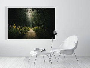 Woodland Secrets II