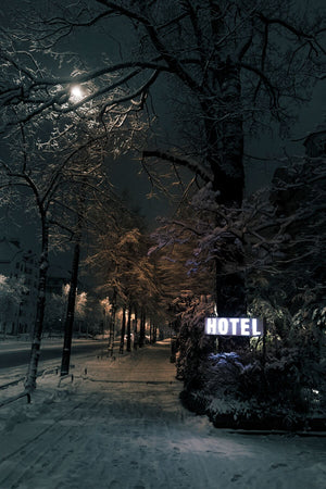 Winter Hotel