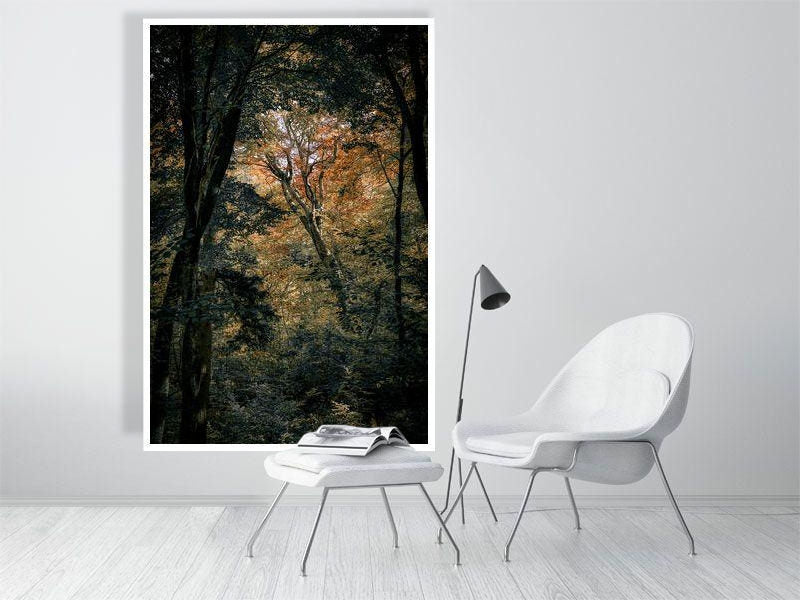 Woodland Secrets III