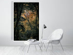 Woodland Secrets III